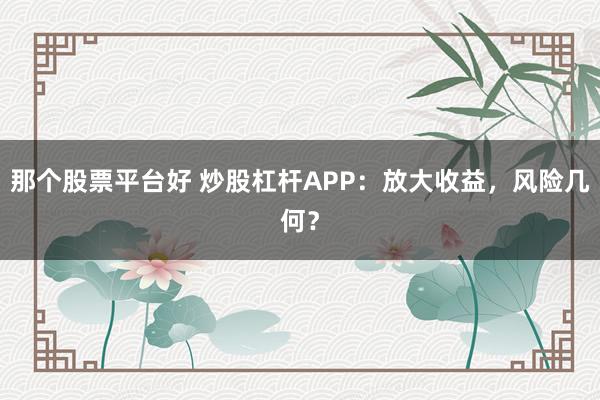 那個(gè)股票平臺好 炒股杠桿APP：放大收益，風(fēng)險(xiǎn)幾何？