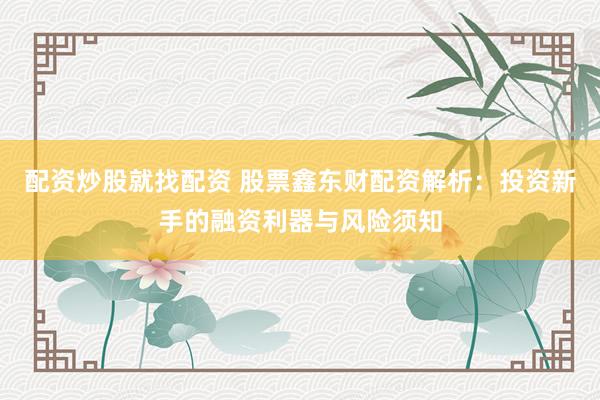 配資炒股就找配資 股票鑫東財(cái)配資解析：投資新手的融資利器與風(fēng)險(xiǎn)須知